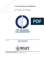 Piracetam For Acute Ischaemic Stroke