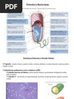 Aula 3 t Estrutura Bacteriana Para Alunos