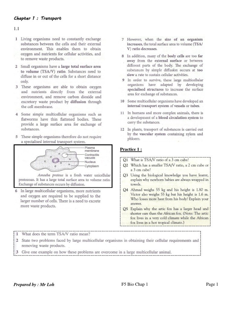 Biology Form 5 Chapter 1 Part 1