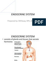 Endocrine System Student - S Copy1