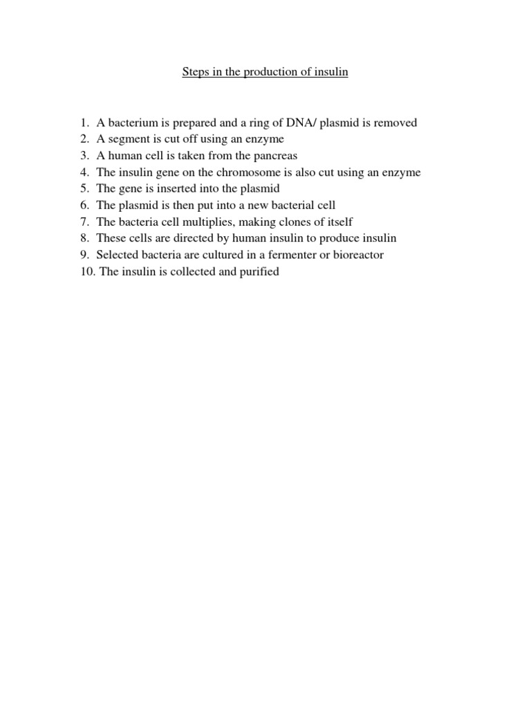 Steps in The Production of Insulin | PDF