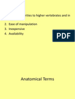150449938 Anatomical Terms