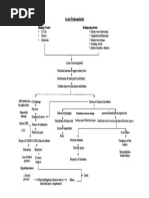 Acute Pyelonephritis Patho