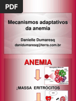 AULA Mecanismos Apaptativos Da Anemia2