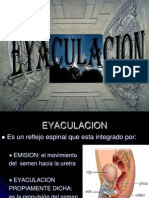 EYACULACION