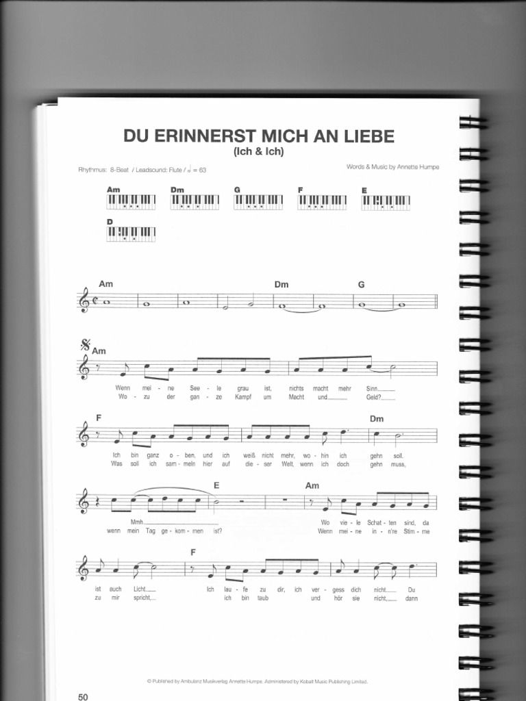 Du Erinnerst Mich An Liebe PDF PDF