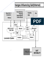 Physiologic Changes Influencing Gait (Internal)