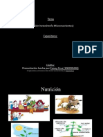 Nutrición heterótrofa-Micronutrientes