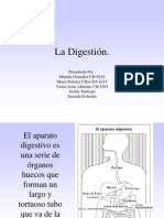 La Digestion2