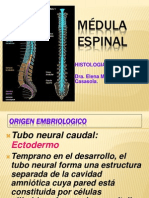 7 Clase Medula Espinal y Meninges
