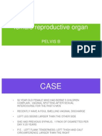 Female Reproductive Organ: Pelvis B