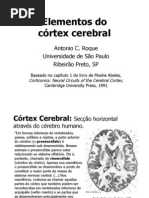 córtex cerebral