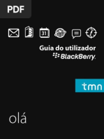 Guia Blackberry
