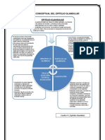 Cuadro Conceptual Del Epitelio Glandular