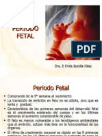 16 Periodo Fetal