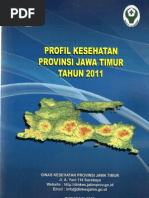 Download Profil Kesehatan Provinsi Jawa Timur Tahun 2011 by rachmad pg SN161290607 doc pdf