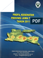 Download Profil Kesehatan Provinsi Jawa Timur Tahun 2011 by rachmad pg SN161290607 doc pdf