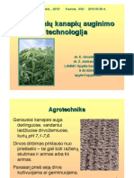 Pluostiniu Kanapiu Auginimo Technologija