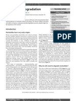 Nucleotide Degradation PDF
