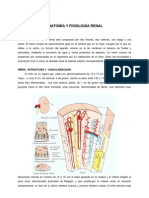 Anatomía Nefrourología