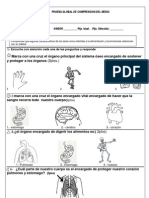 Copia de PRUEBA_AGOSTOcomprension Del Medio