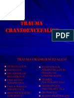Trauma Craneoencef. 2 (1)
