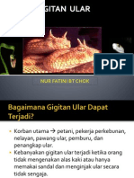 Gigitan Ular PP