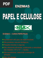 Papel e Celulose Enzimas