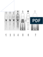 Men's Somatotypes