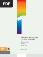 PROGRAMA PRIMERO PRIMARIA