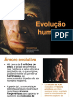 Evolucao Humana