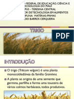 Trigo PDF