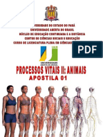 Uepa Anatomia e Fisiologia Apostila 01