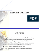 Report Writer