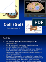 Cell (Sel