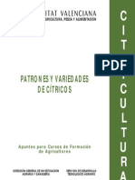 Patrones y variedades de cítricos