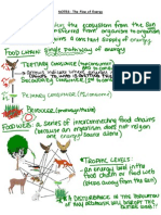 Microsoft Word - Notes - Energy Flow in An Ecosystem - Filled - in Class