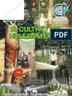El cultivo del hule en México
