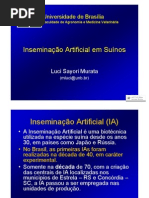 Inseminação artificial IA
