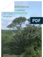 Amazonia Eco-Utility Workshop Report April 09 SUMMARY