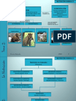 2eso-nutricinanimalesyplantas-110216090542-phpapp01