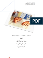 MS Excel 2003