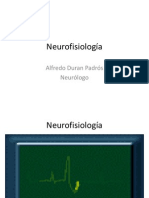 NeurofisiologÃ A I