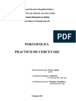 portofoliul practicii