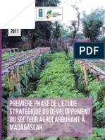 Première Phase de L'etude Stratégique Du Développement Du Secteur Agrocarburant À Madagascar - Etat Des Lieux de La Situation Actuelle Du Secteur (PNUD, Plateforme Agrocarburant Durable, WWF - 2011)