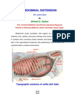 Abdominal Distension