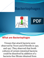 Bacteriophage