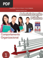 Licao 01 Comportamento Organizacional