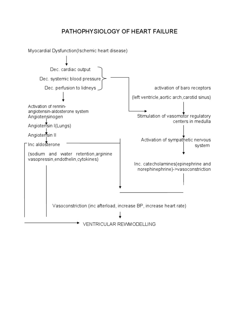 Heart Failure Pathophysiology Explained | PDF
