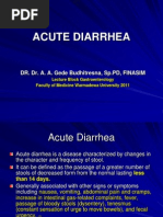 Download Diare Akut dan Kronis by Santhi Sueningrum SN161631641 doc pdf